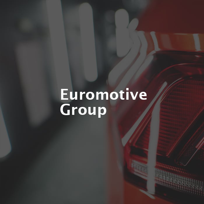 Euromotive group