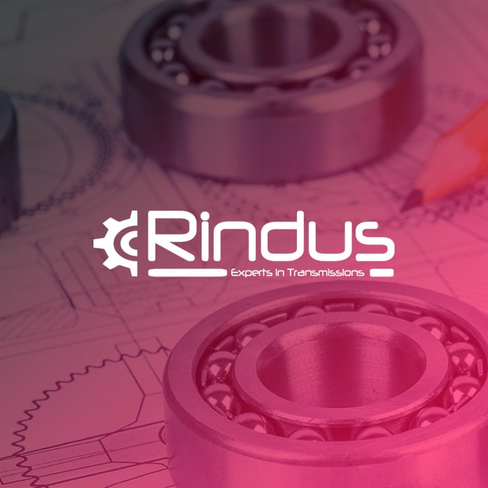 Rindus